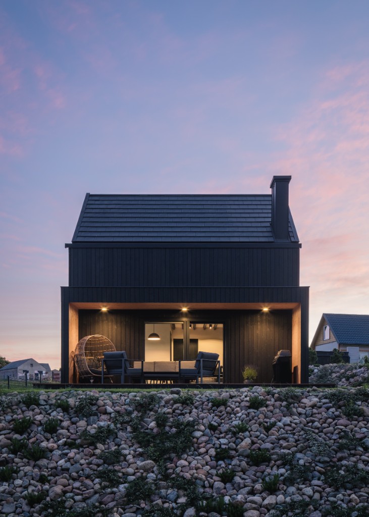 Zenwood Ebony proyecto 1