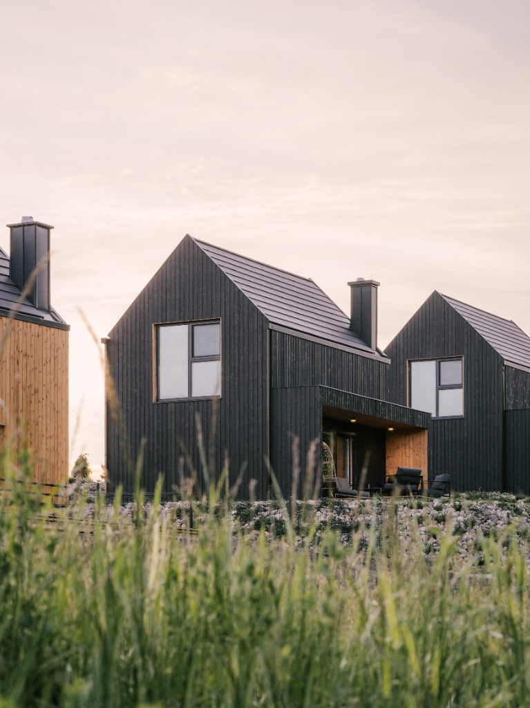 Zenwood Ebony proyecto 3